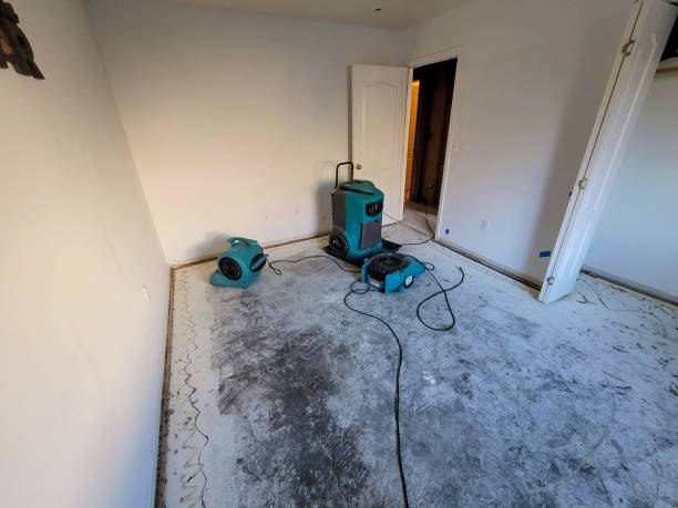 Best Emergency water damage restoration  in Ketchikan, AK