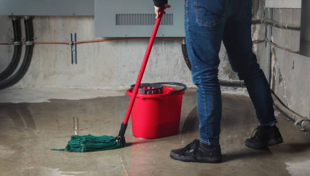 Best Sewage cleanup and water damage restoration  in Ketchikan, AK