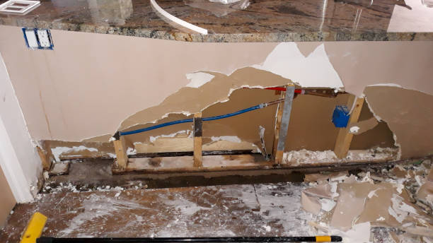 Best Water damage restoration process  in Ketchikan, AK