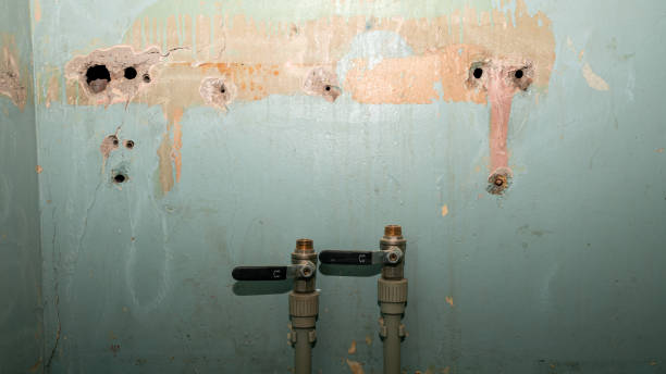  Ketchikan, AK Water damage restoration Pros