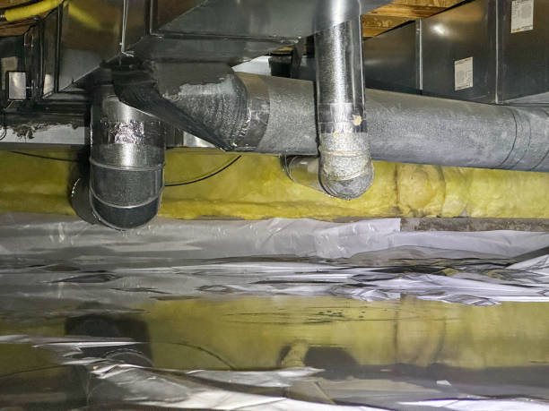 Best Basement water damage restoration  in Ketchikan, AK