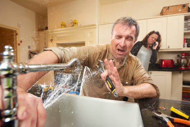 Best Carpet water damage restoration  in Ketchikan, AK